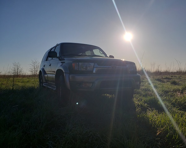 Early Morning Hunt