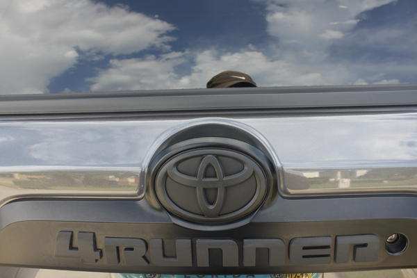 emblem painted