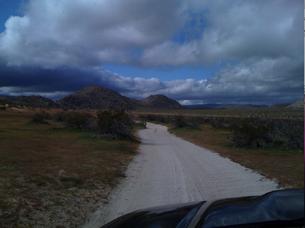 endless roads