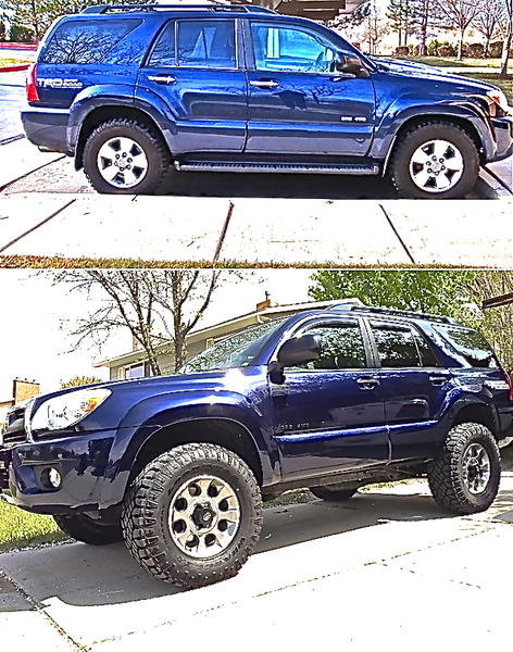 Evolution