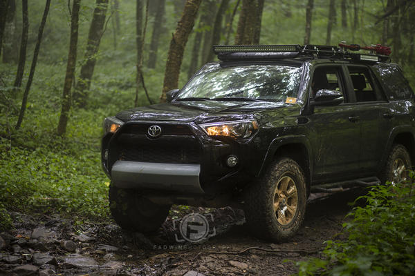 Exploring in North Carolina