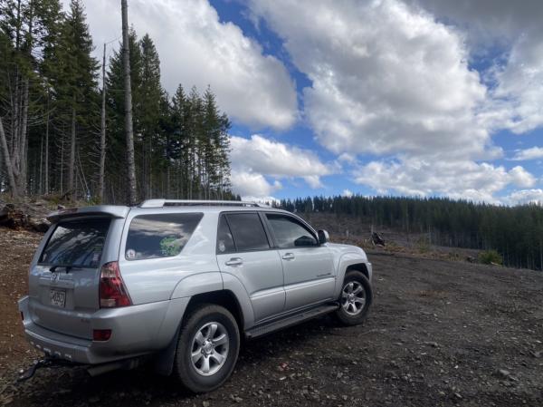 exploring the Tillamook forest