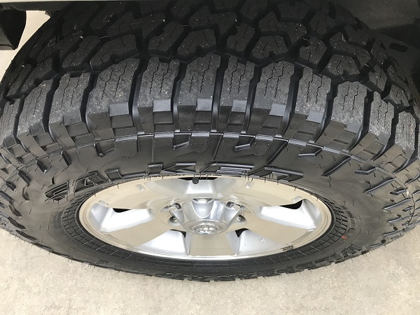 Falken Wildpeak