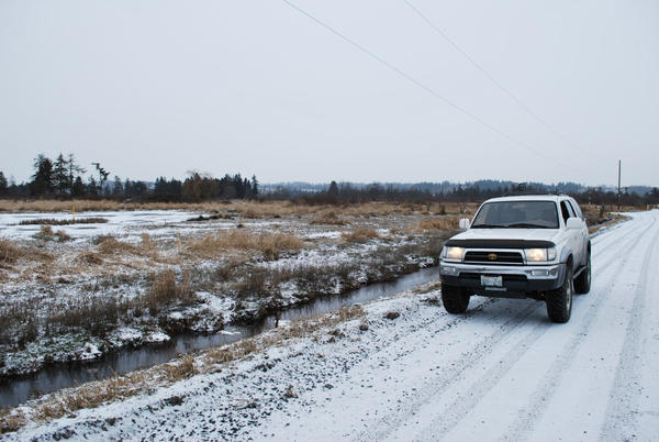 February Snow