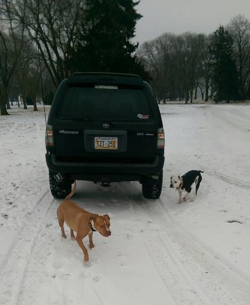 Finally got a little snow to play in