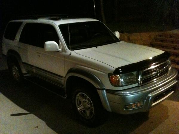 First night I brought her home
