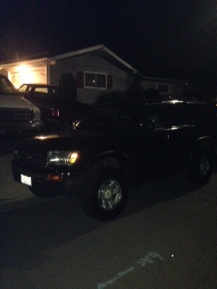 First night I brought her home