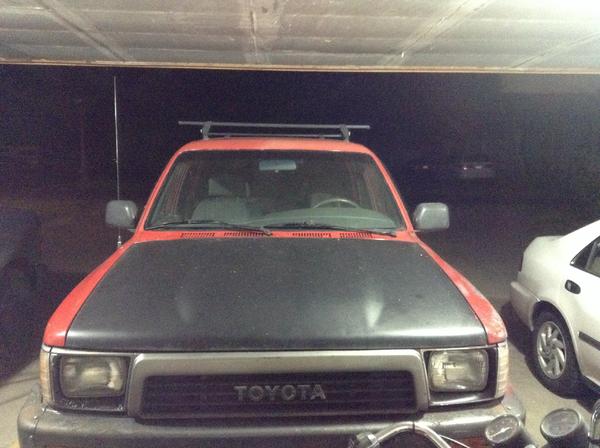 First night when I brought her home