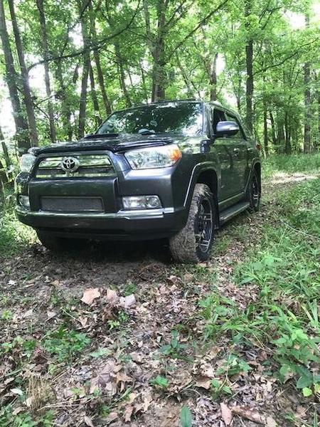 First Time In The Woods