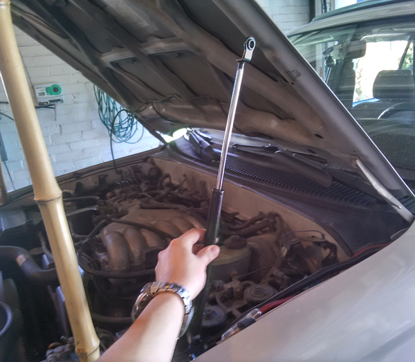 fitting hood struts