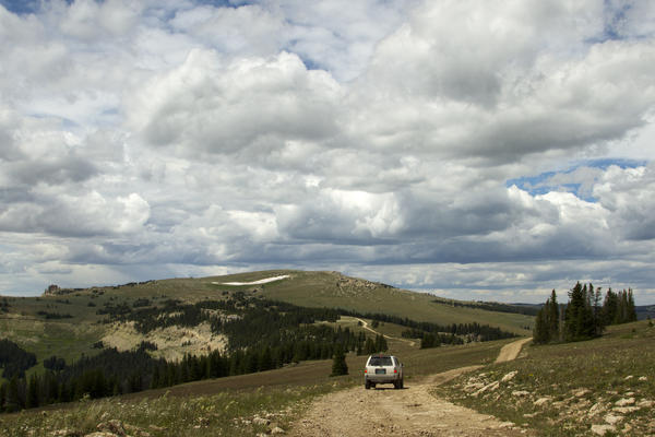 fj t4r