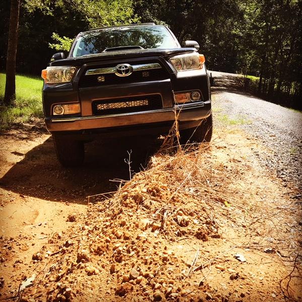flex front