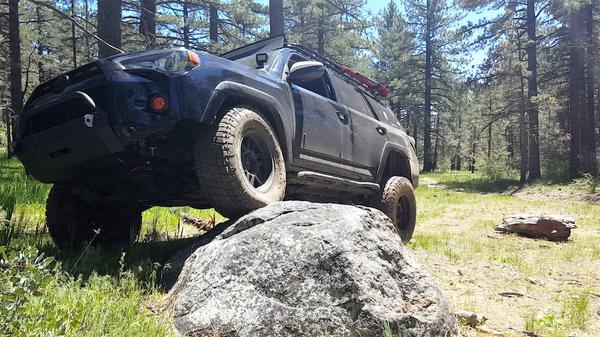 Flex shot