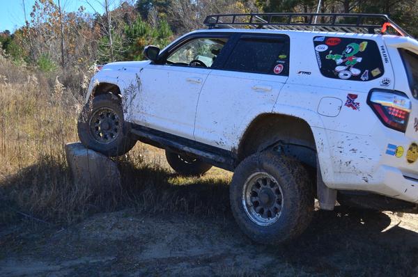 flexing