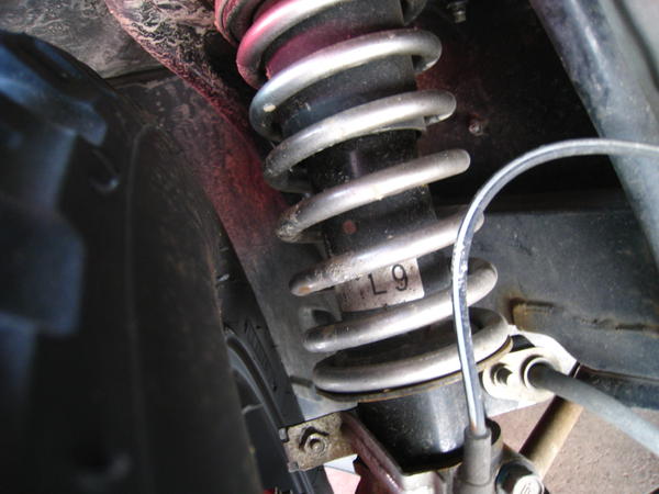 forest auto factory 1.5in Liftup spring