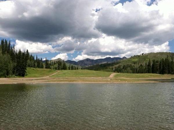 Forest Lake Scenery