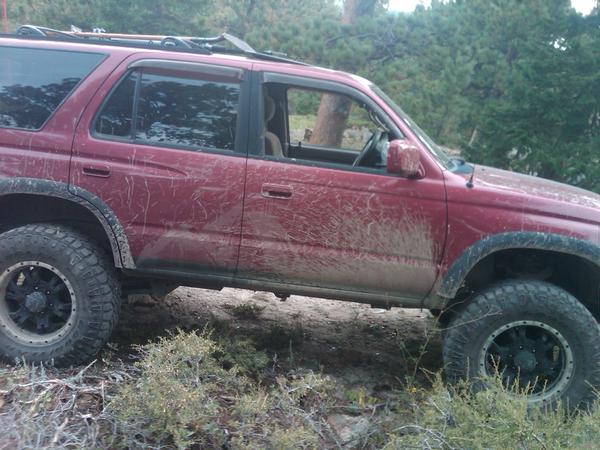 Found a bit of mud, so all was good.