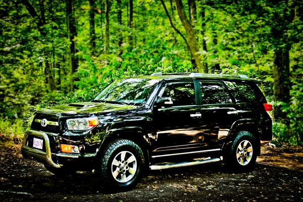 Foxboro,MA state forest