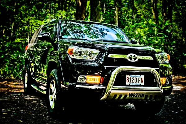 Foxboro,MA state forest