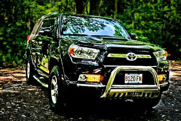 Foxboro,MA state forest