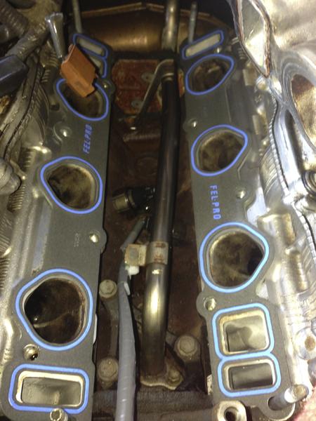 Fresh new seals!