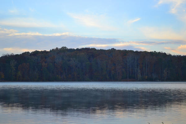 From Lake Badin Campground, Uwharrie, NC.