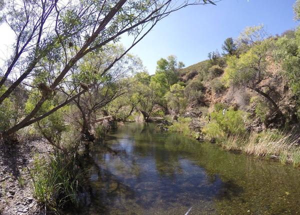 From the rooftop, looking out over the swimming hole that we drove to through 2 feet of water.