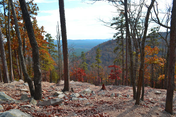 From the top of Daniel Trail, Uwharrie, NC.