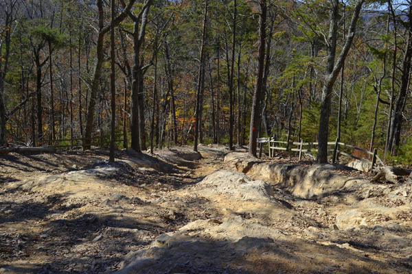 From the top of Dickey Bell, looking down.  Uwharrie, NC.