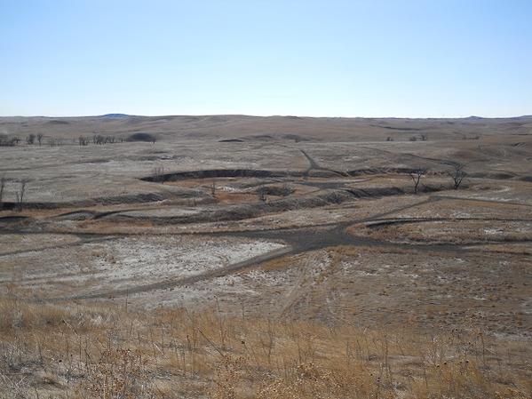 From the top of the first big hill, you can see the creekbed that snakes through the area (dry most the time), plus trails going off everywhere.