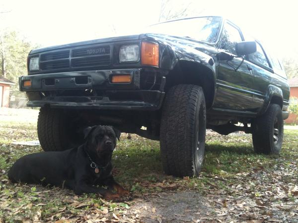 Front view with my dog.