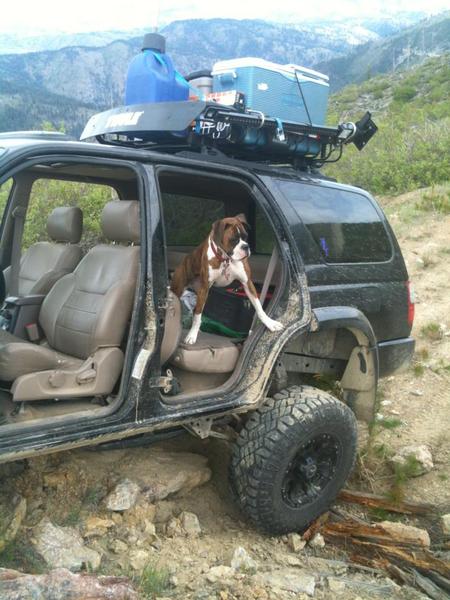 Fuk a jeep