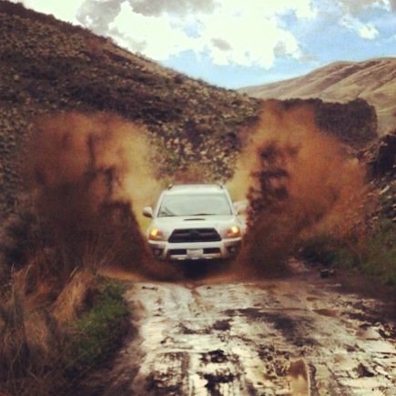 Fun in the mud