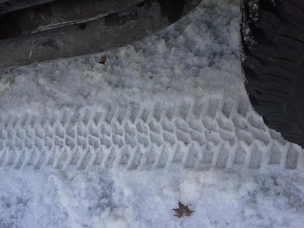 gaurd dog foot print