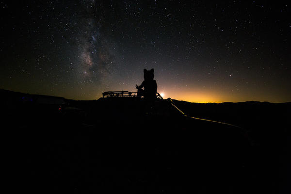 Gazing at the Milky Way in Joshua Tree.