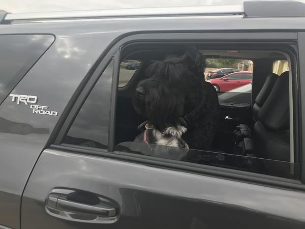 get your own window sister