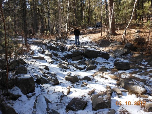 Getting the lay of the land.