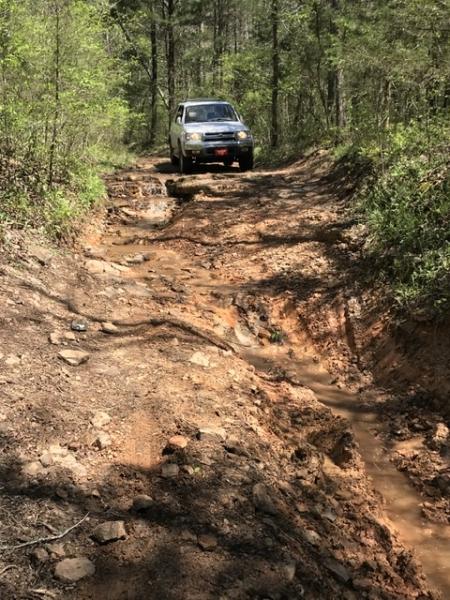 Going down was a lot easier than going up!