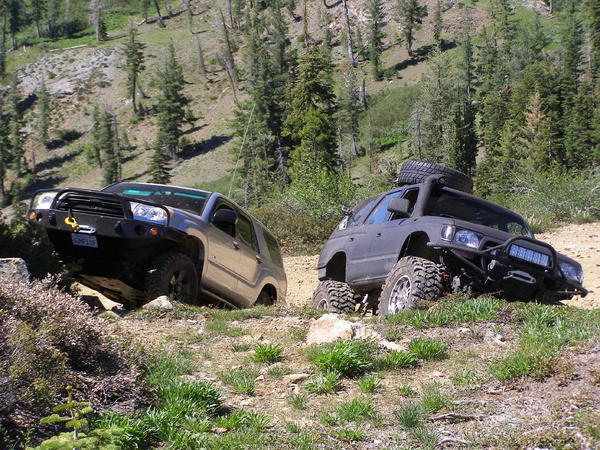 Gold Lake Run june 035