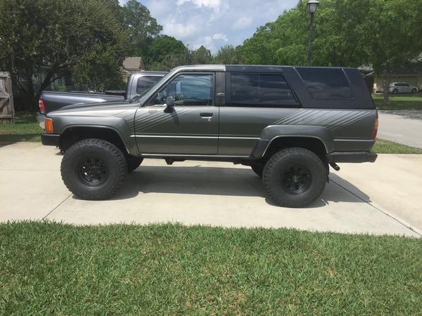 Gray 1987 (new to me) March 2016