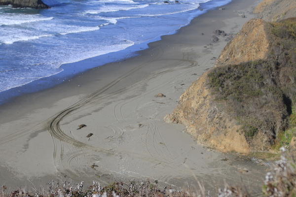 Had a bit to much fun in the sand