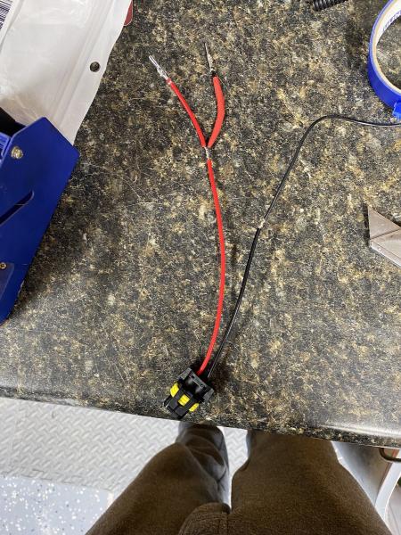 Harness