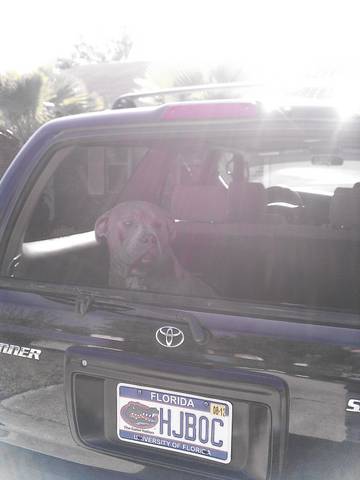 Hello everyone this is Fat Jesus. My car alarm.
