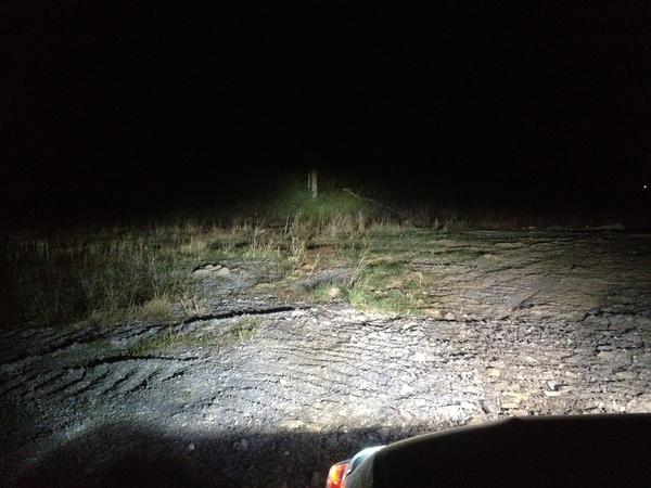 HID lights