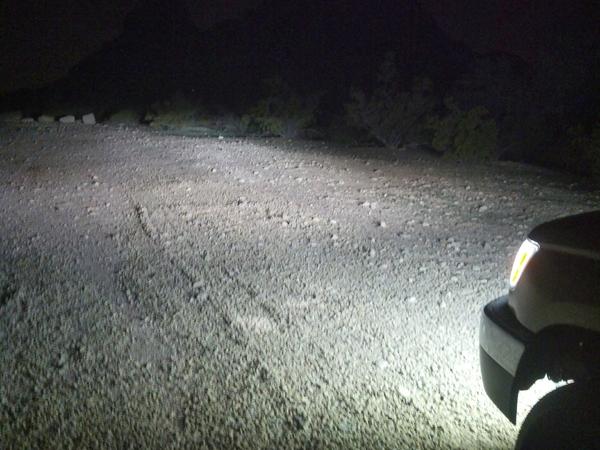 HID Low beams+ LED Plate + corner markers