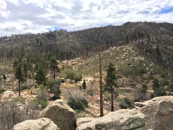Hiked out to a boulder garden and couldn't help but take a pic of the vehicle that got us here.