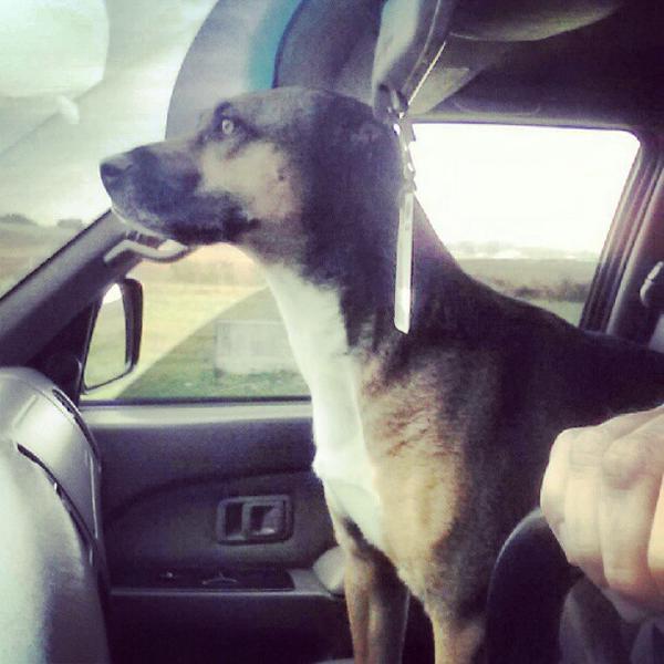hitting the trails with my buddy!!