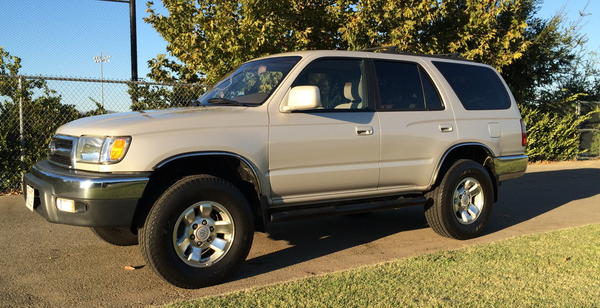 How she looked when I got her.