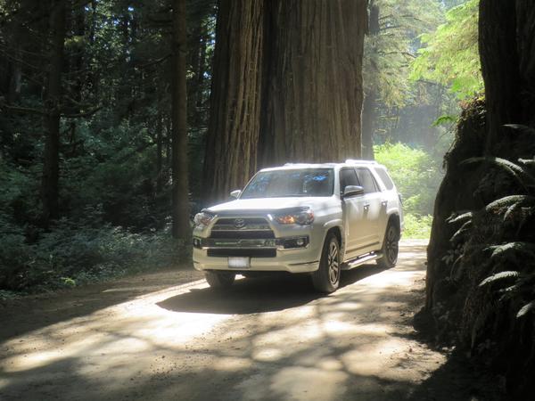 Howland Hill Rd, Crescent City, CA