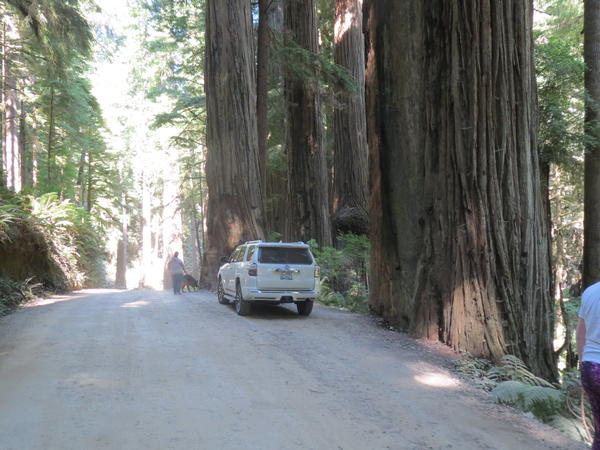 Howland Hill Rd, Crescent City, CA
